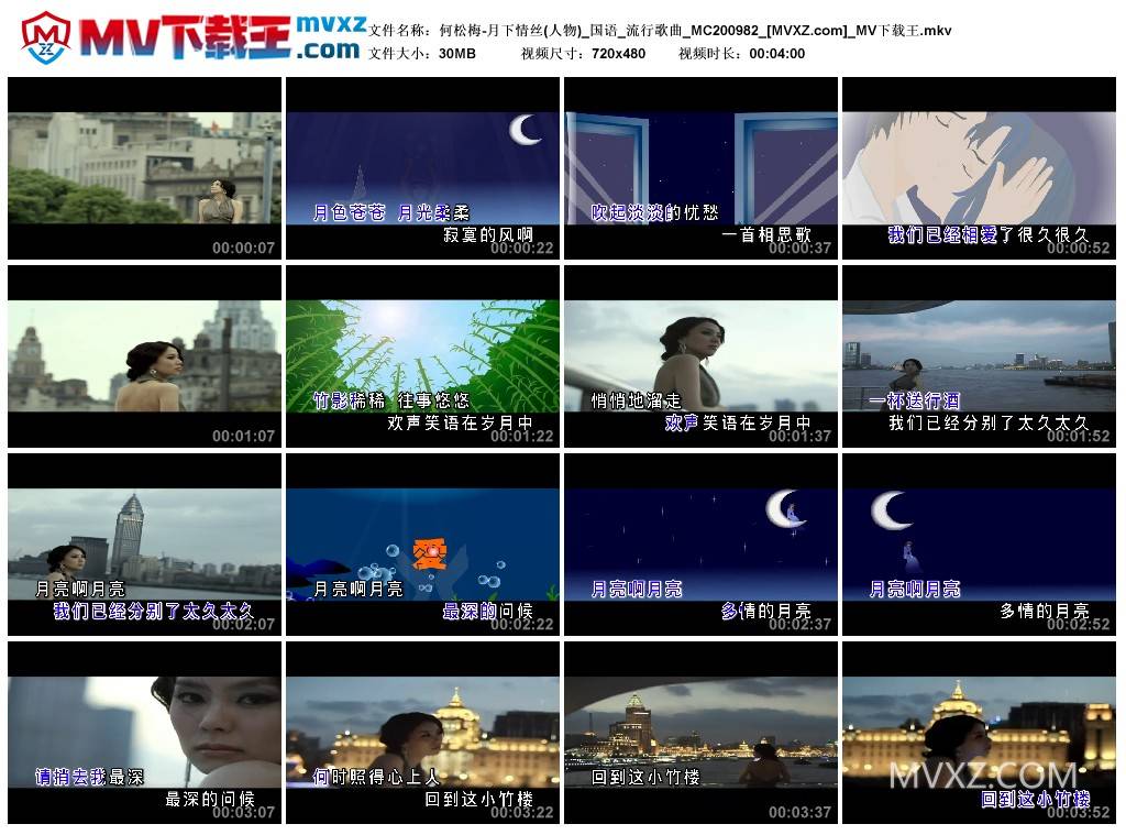 何松梅-月下情丝(人物)_国语_流行歌曲_MC200982